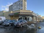 Vseinstrumenti.ru (Krasnodarskaya Street, 51к2), electric and gas powered tools