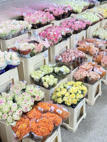 Çiçek pazarı Vb, Grodno, foto