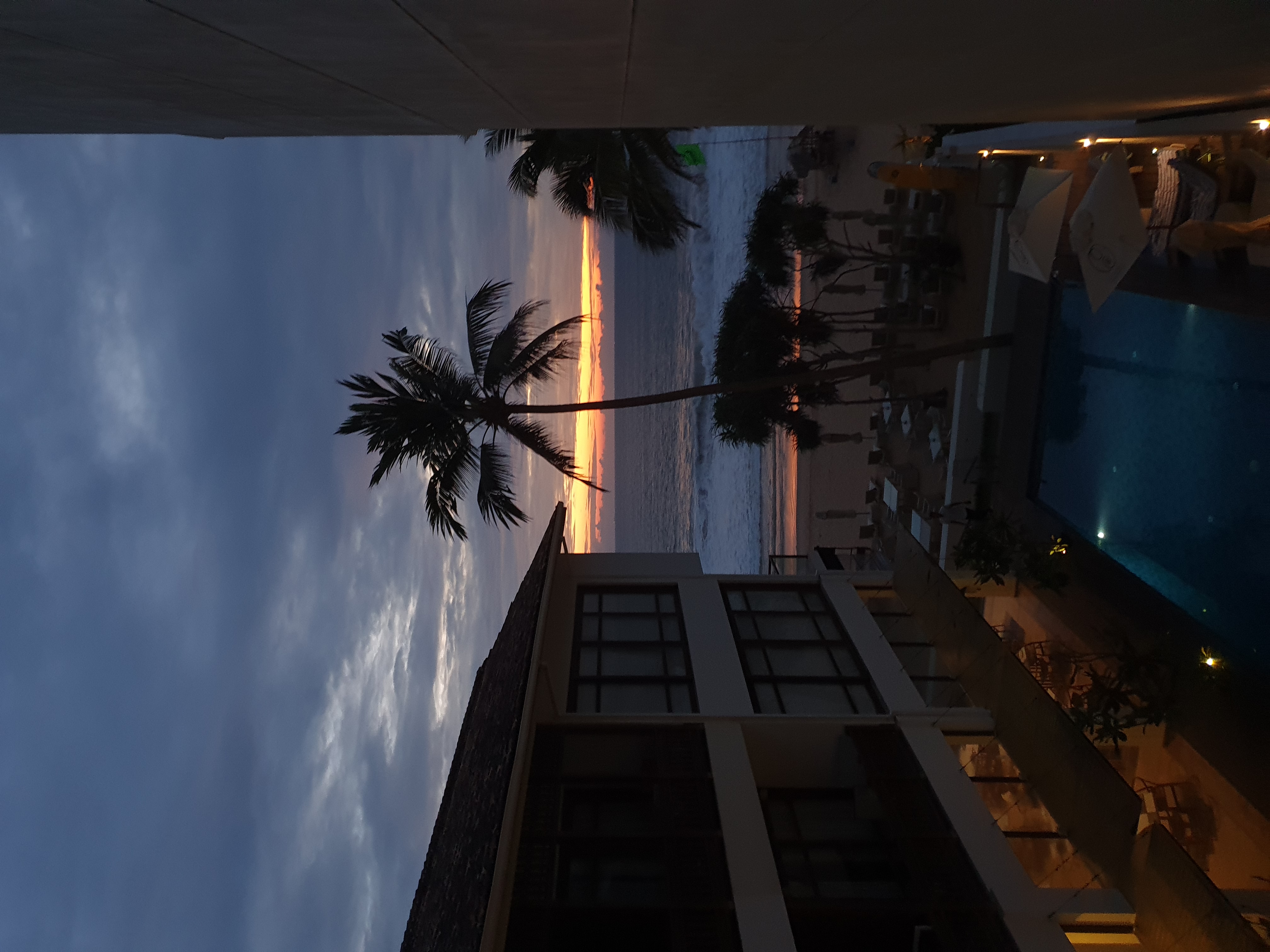 Фото Lucky Elephant