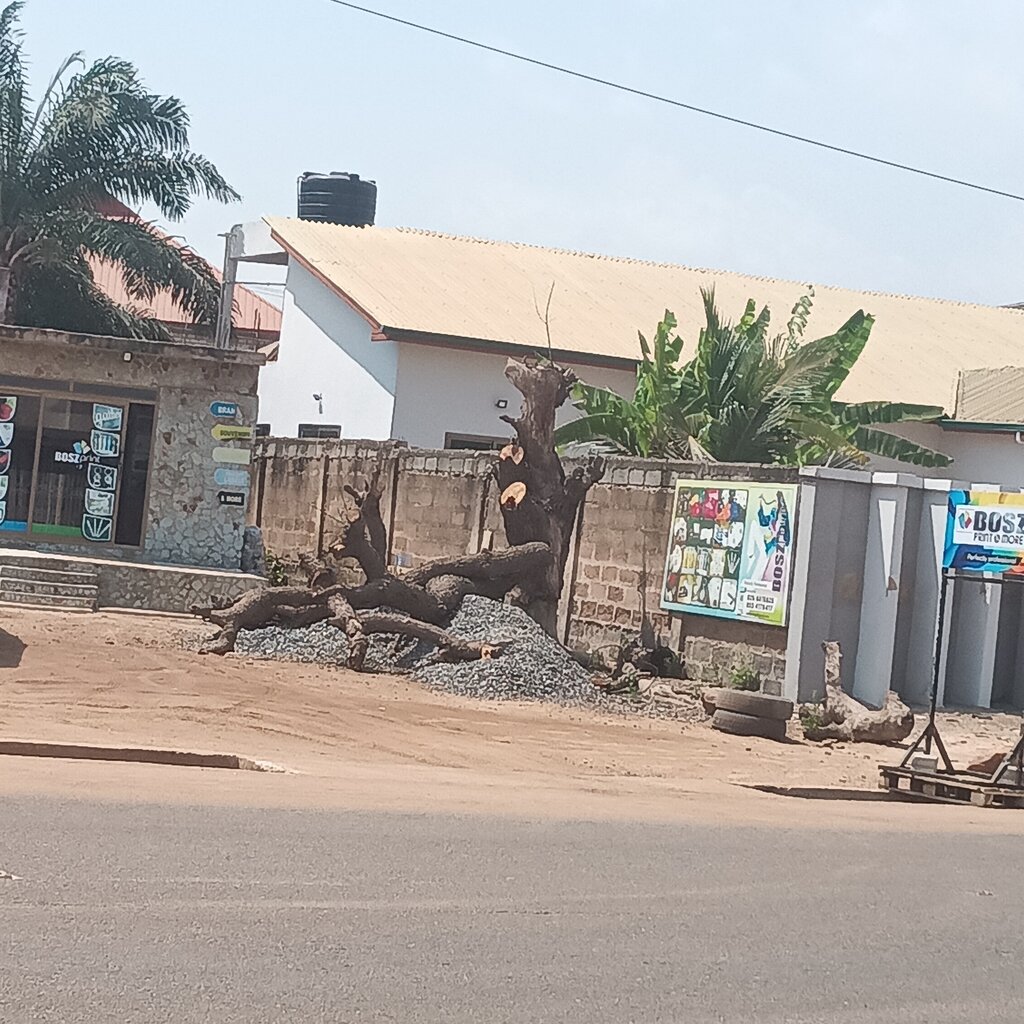 Copy center Bosz Print, Earth, photo