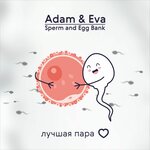 Adam&Eva International Egg and Sperm Bank (vulica Hiercena, 10), family planning clinic