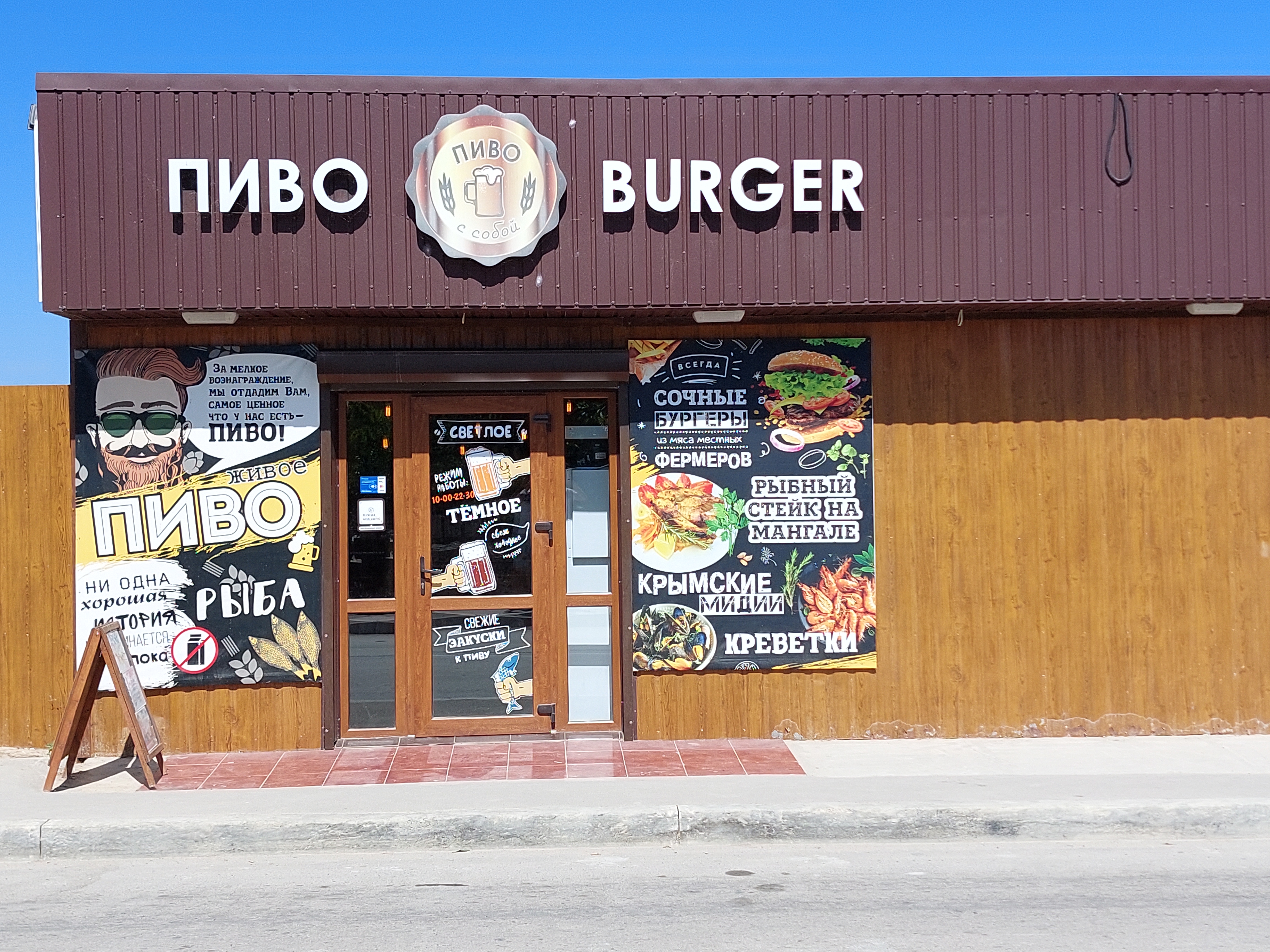 Фото Кактус