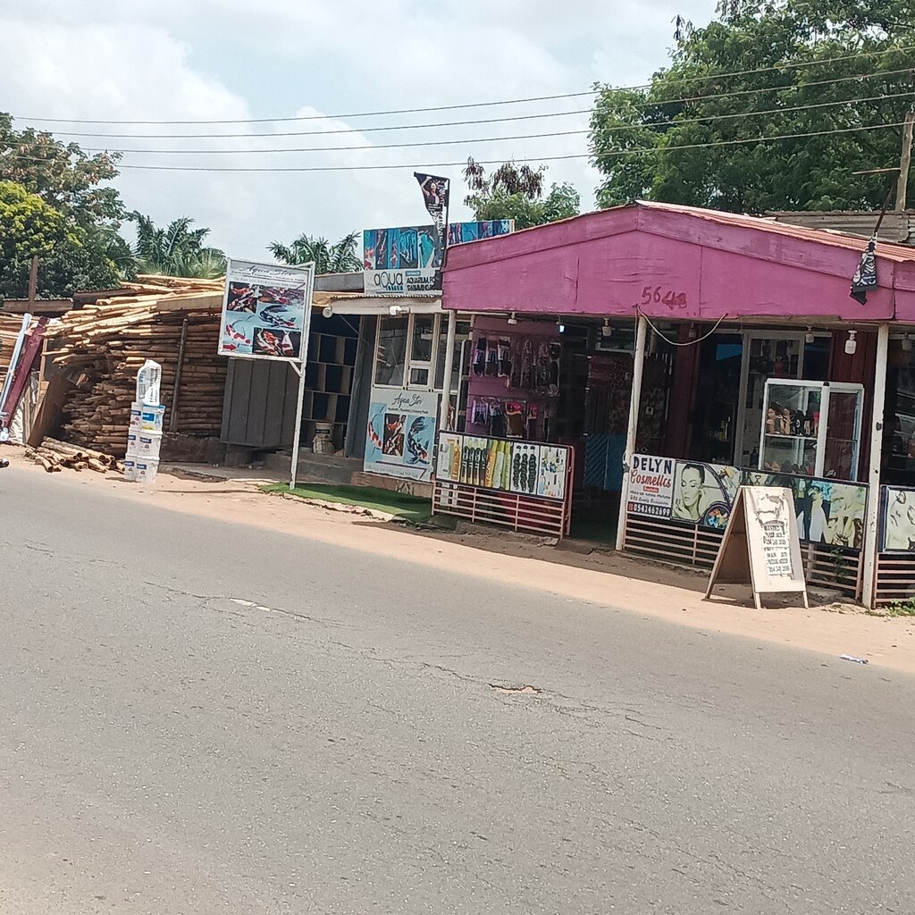 Pet shop Aqua Stev Aquariums, Earth, photo