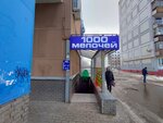 1000 Мелочей (Avtozavodskiy City District, Severniy Microdistrict, Lvovskaya Street, 8А), home goods store