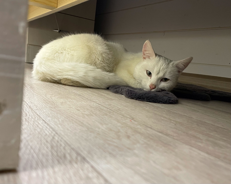 Фото Soul Arkhyz