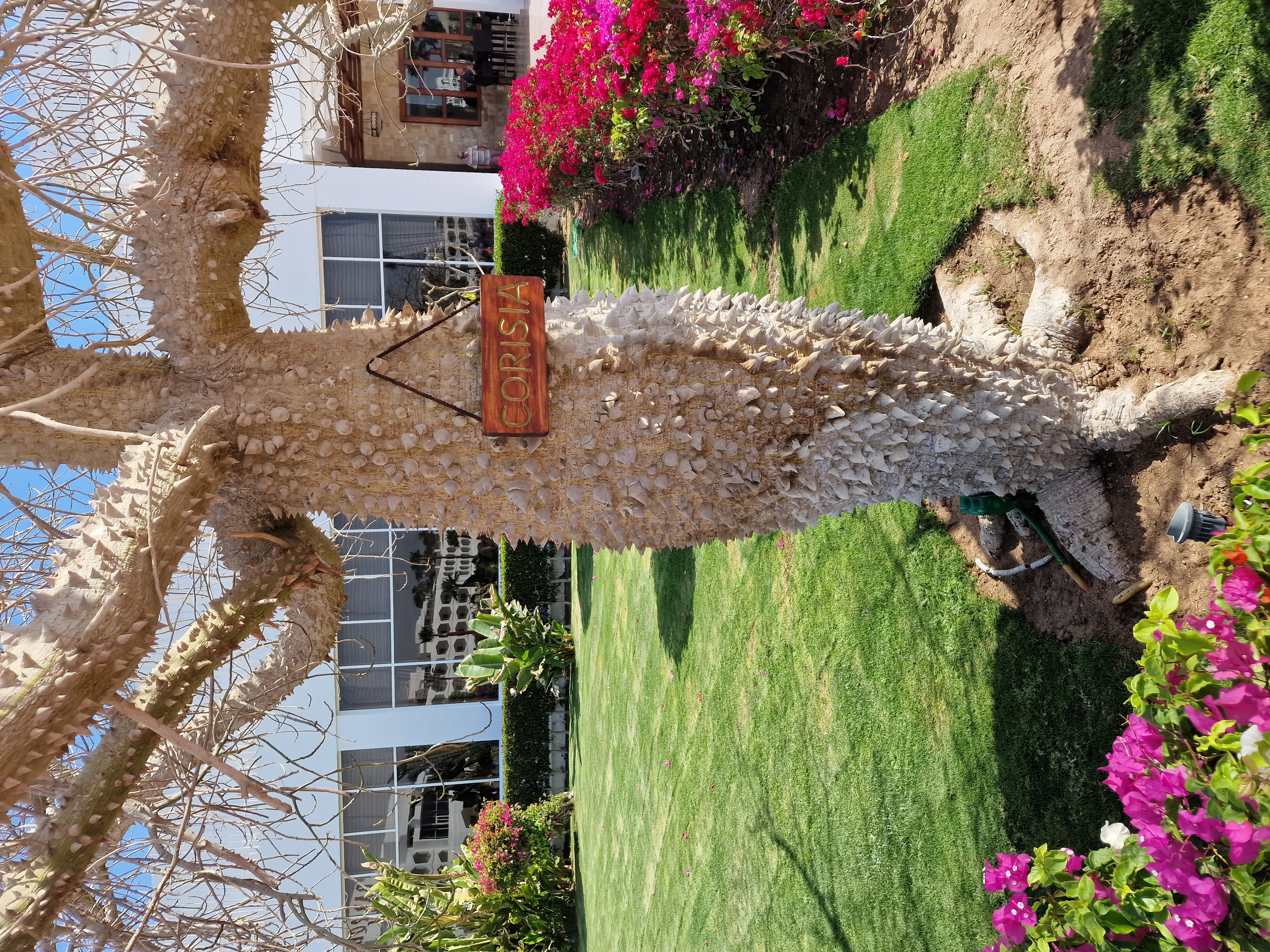 Фото Baron Resort Sharm El Sheikh