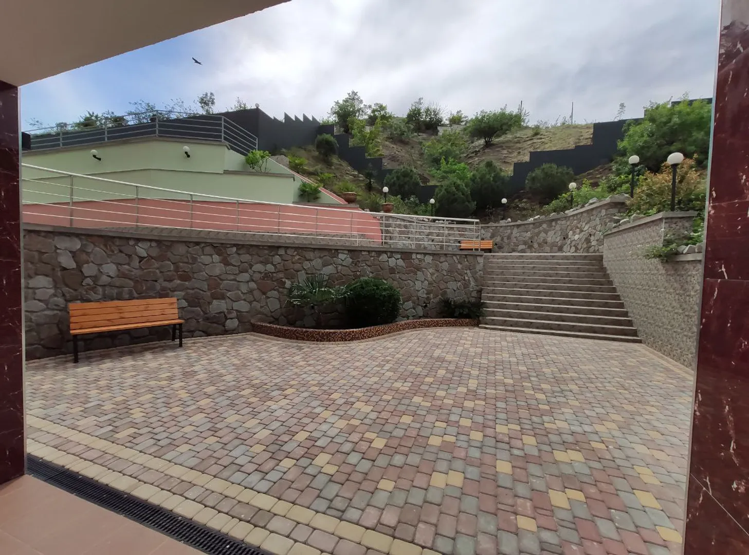 Фото Дельфин