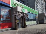 Adora (Tolyatti Street, 44), flower shop