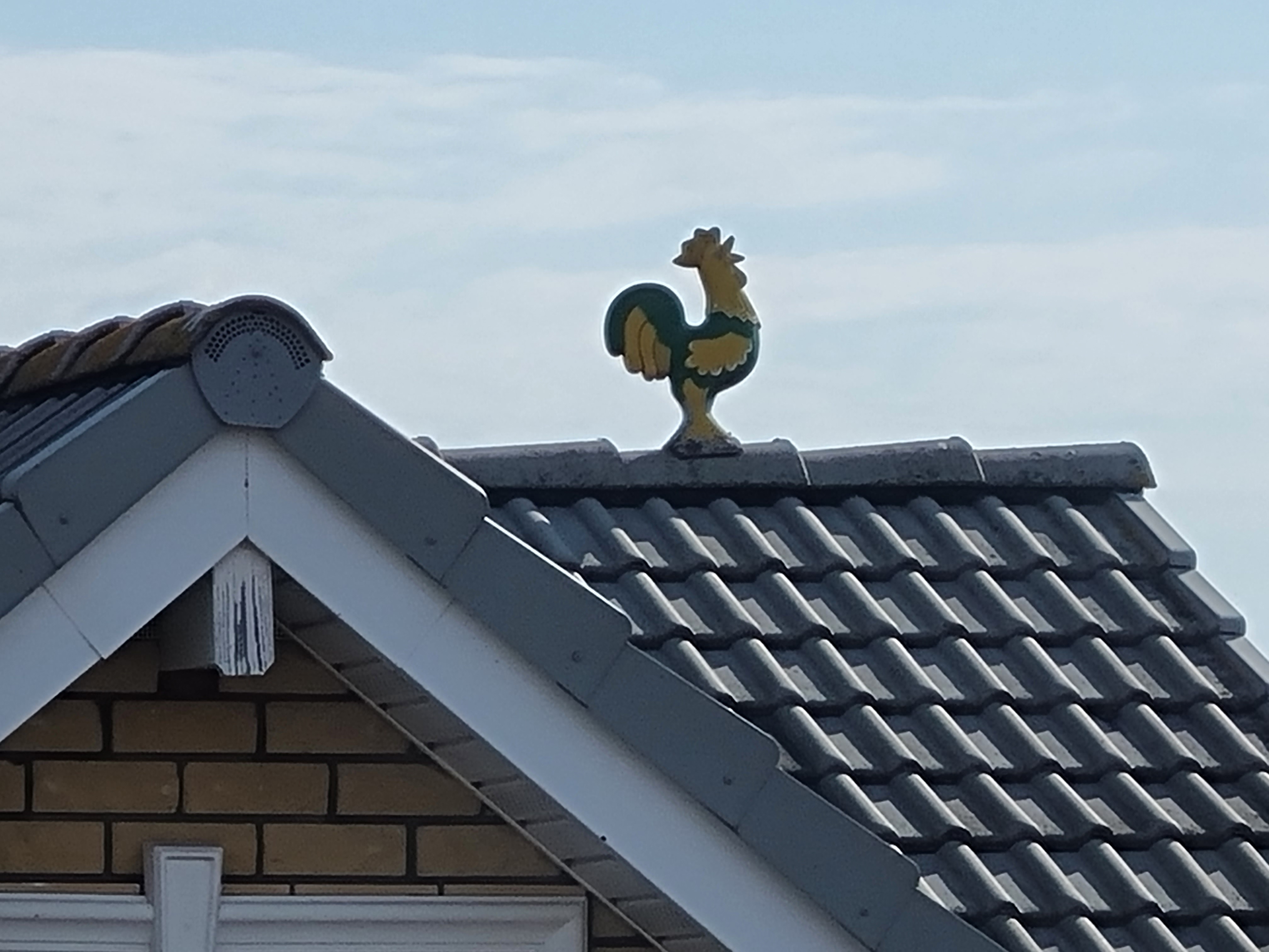 Фото Петель