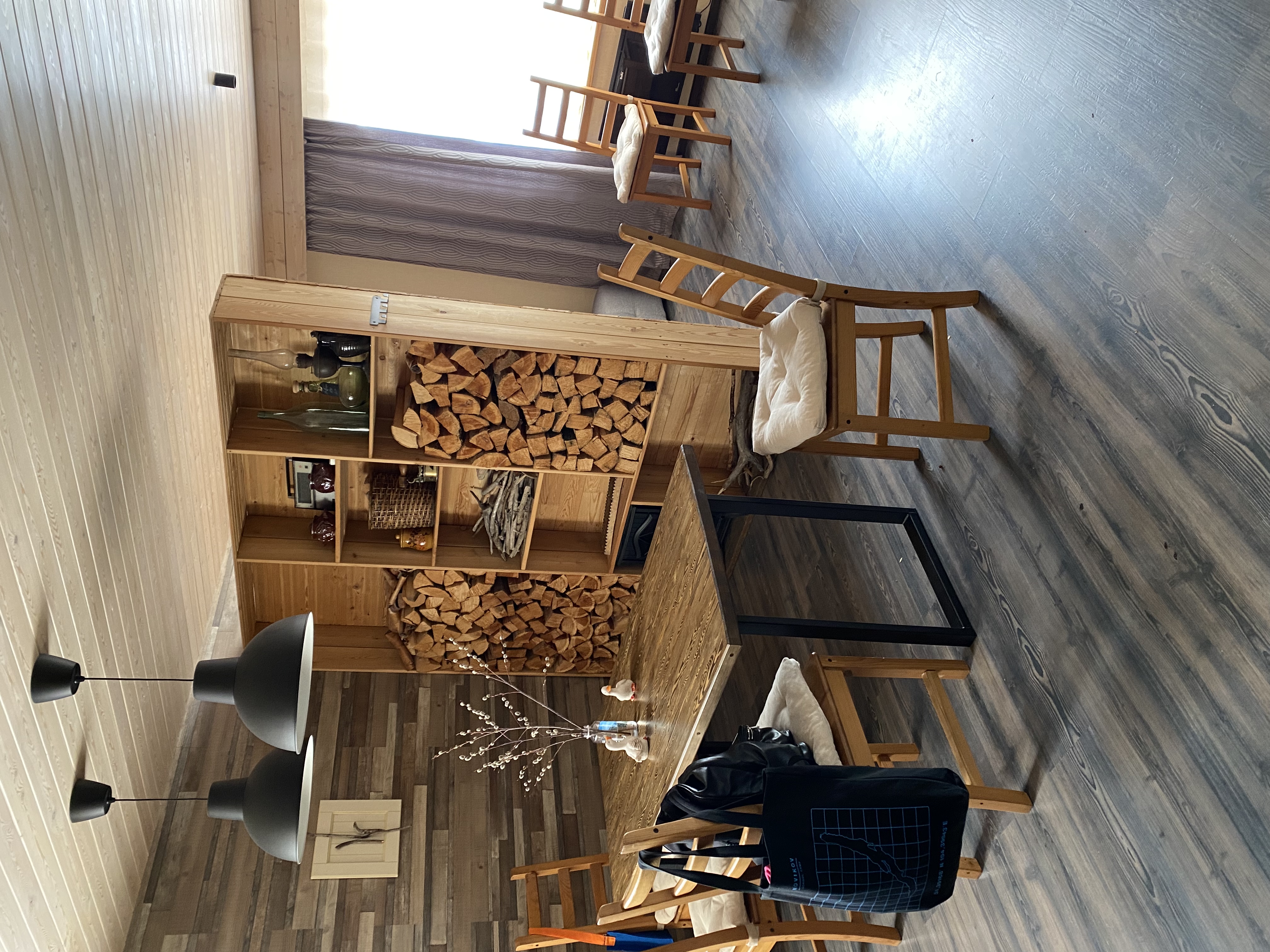 Фото Снежные Гуси