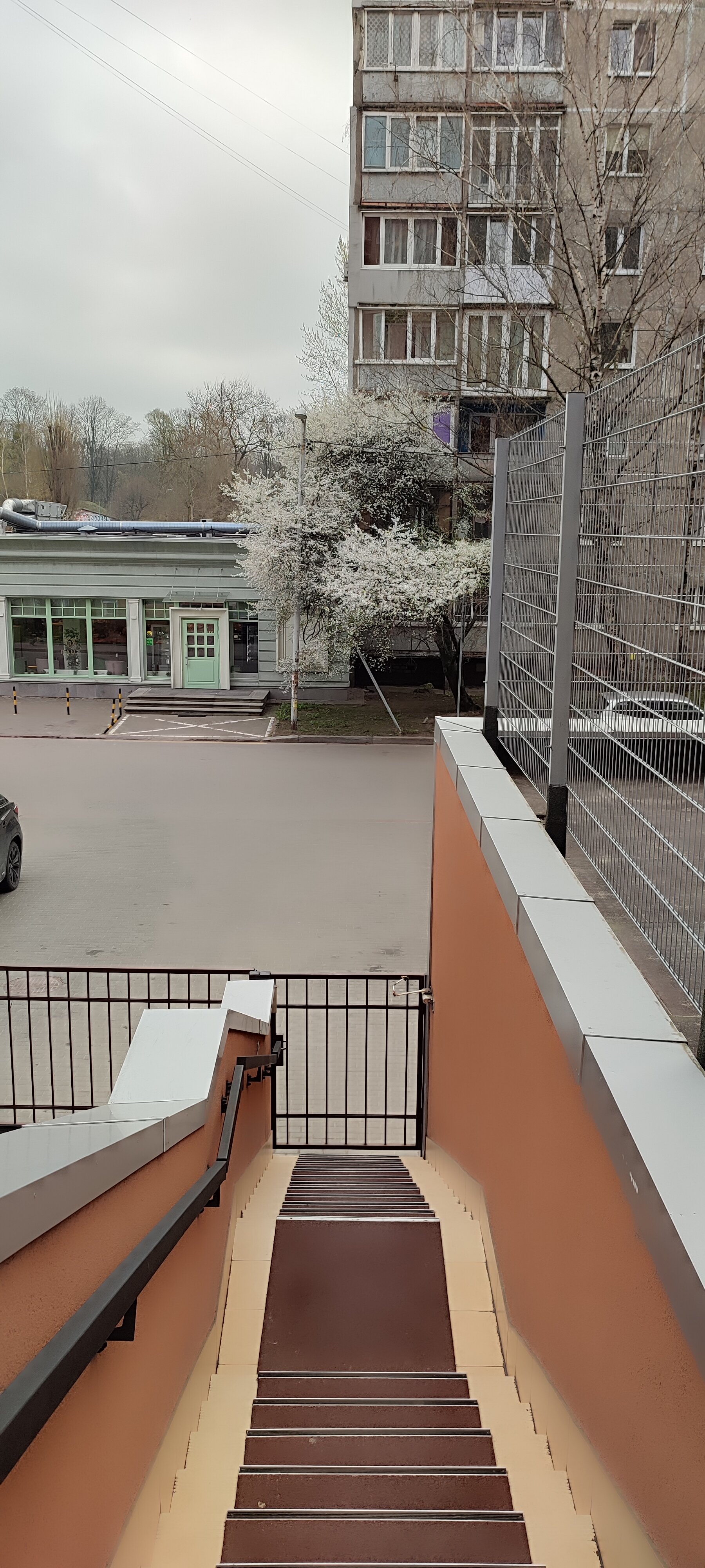 Фото Асгард