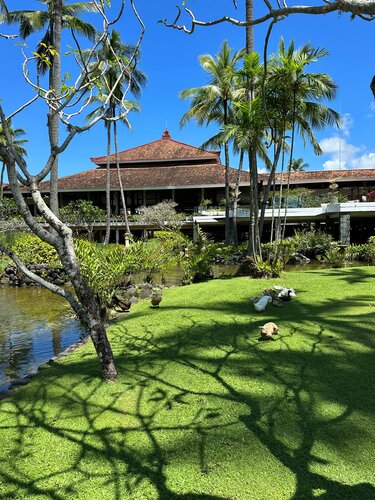 Гостиница Meliã Bali