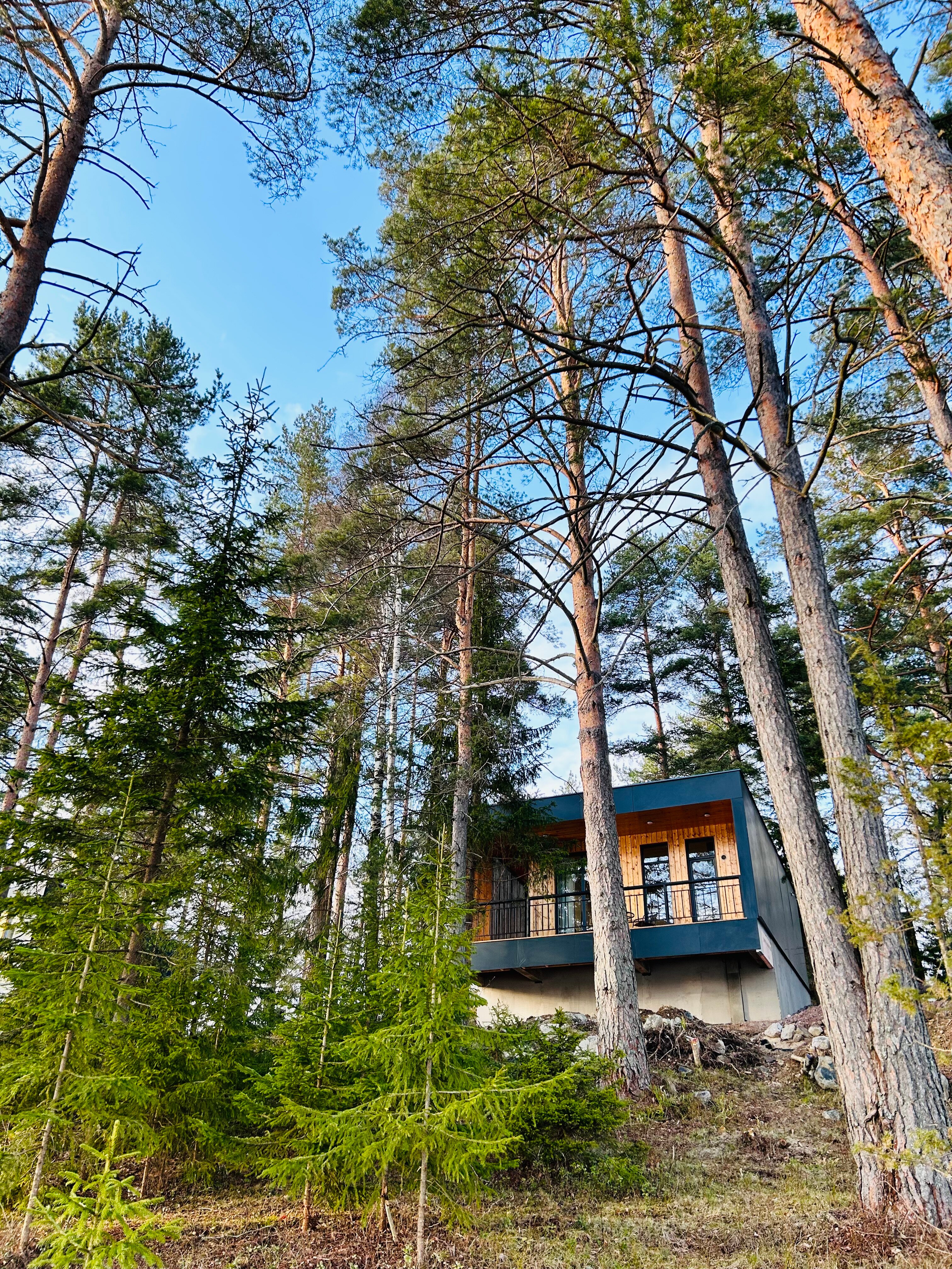 Фото Чайка 1918