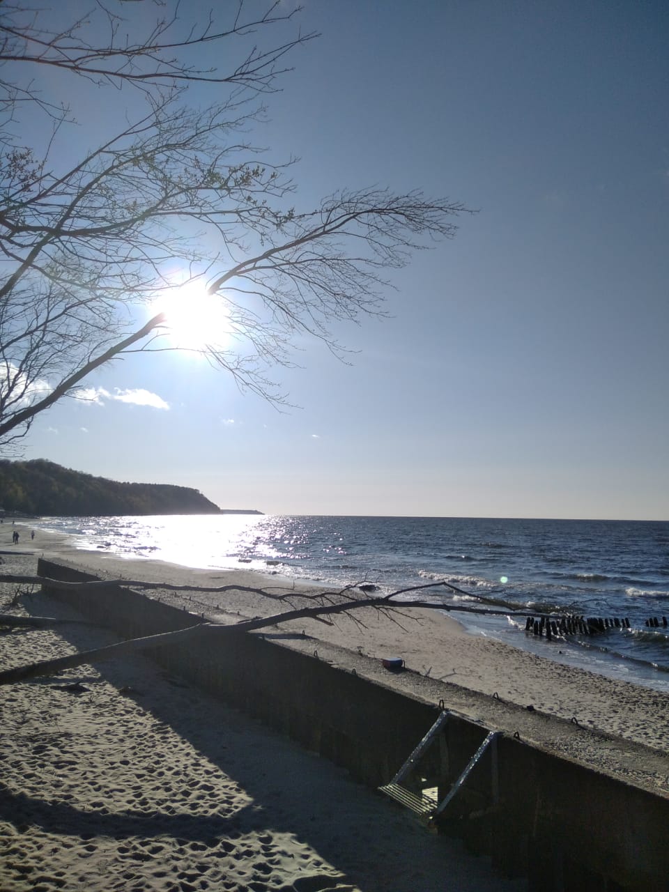 Фото Апартаменты Jam