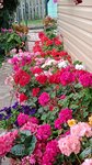 Отдых - 2 (Krasnoyarsk, Maerchaka Street), asociaciones y sociedades hortícolas