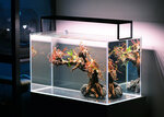 Green art (Gzhatskaya Street, 5к4), aquariums