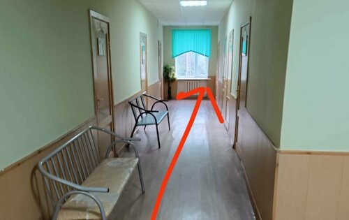 Жануарлардың гномдарымен жыныстық қатынас