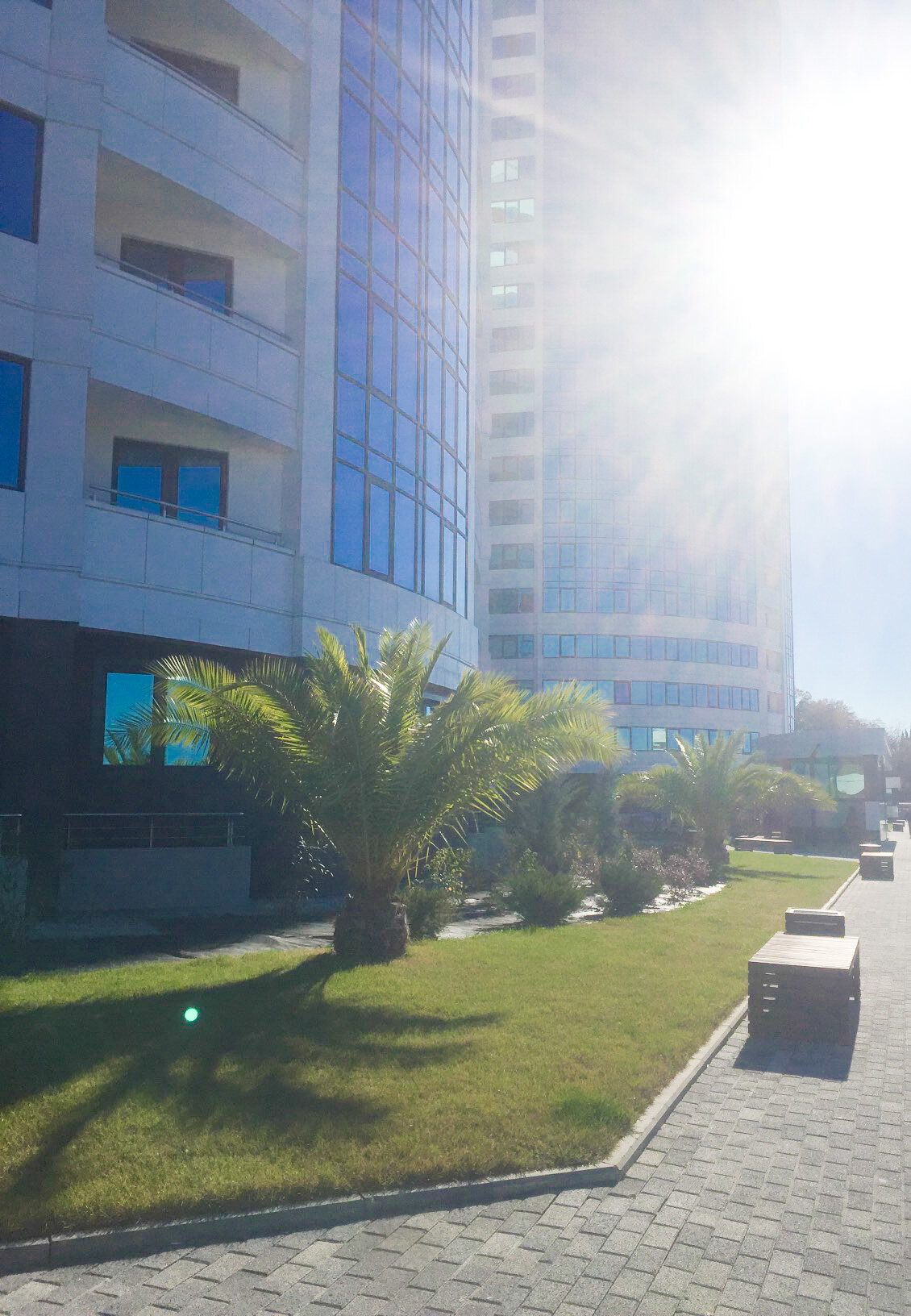 Фото Апартаменты Морская Симфония