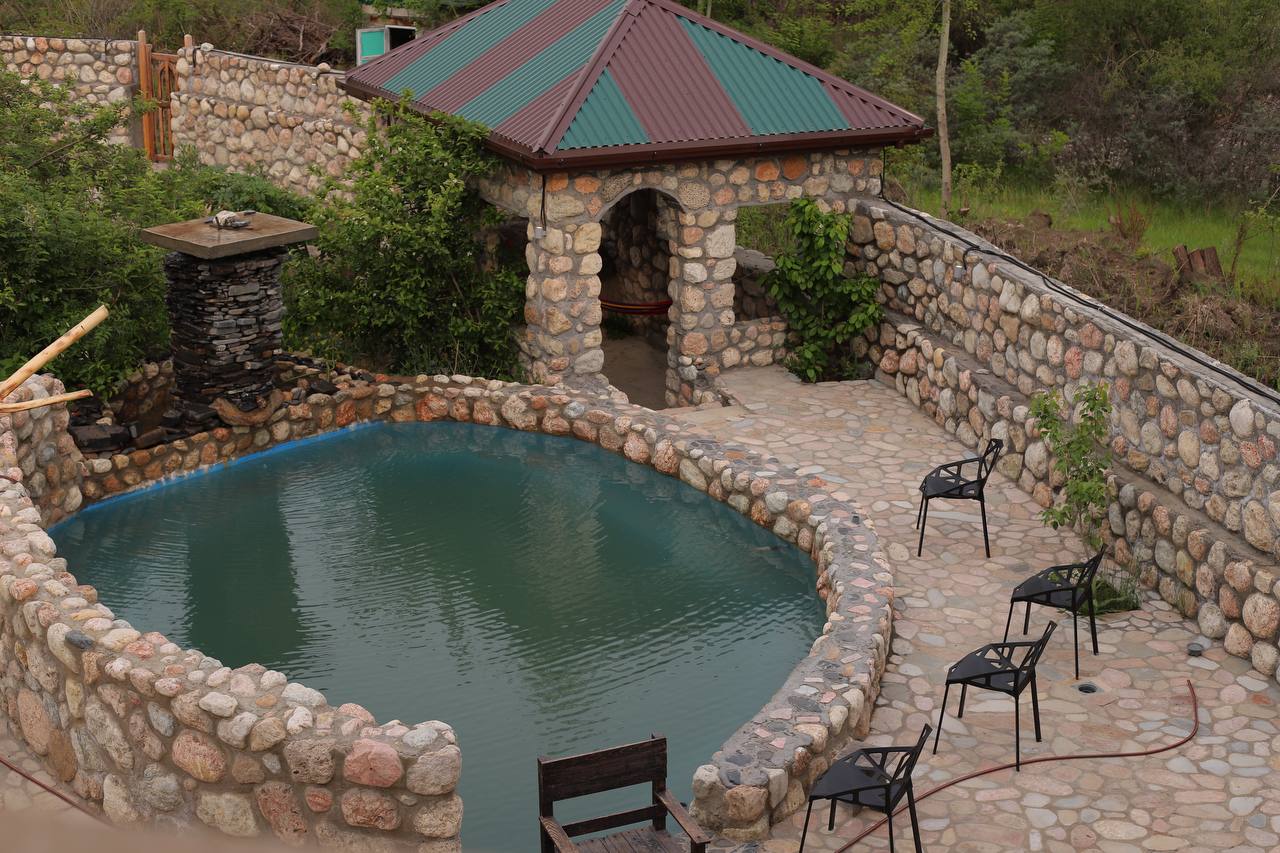 Фото Гнездо солнца