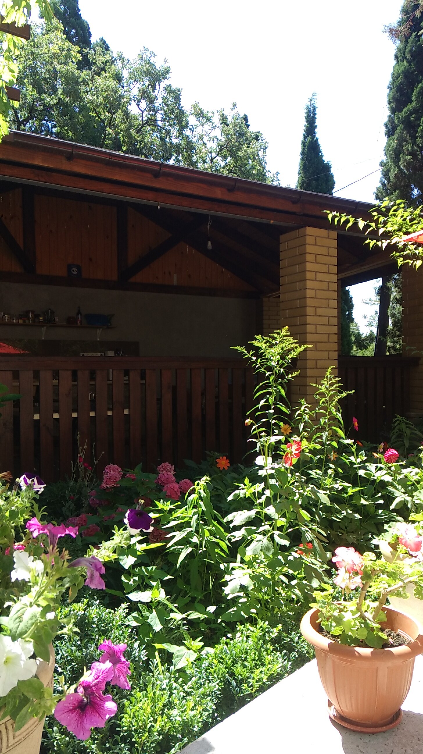 Фото Симеиз тур