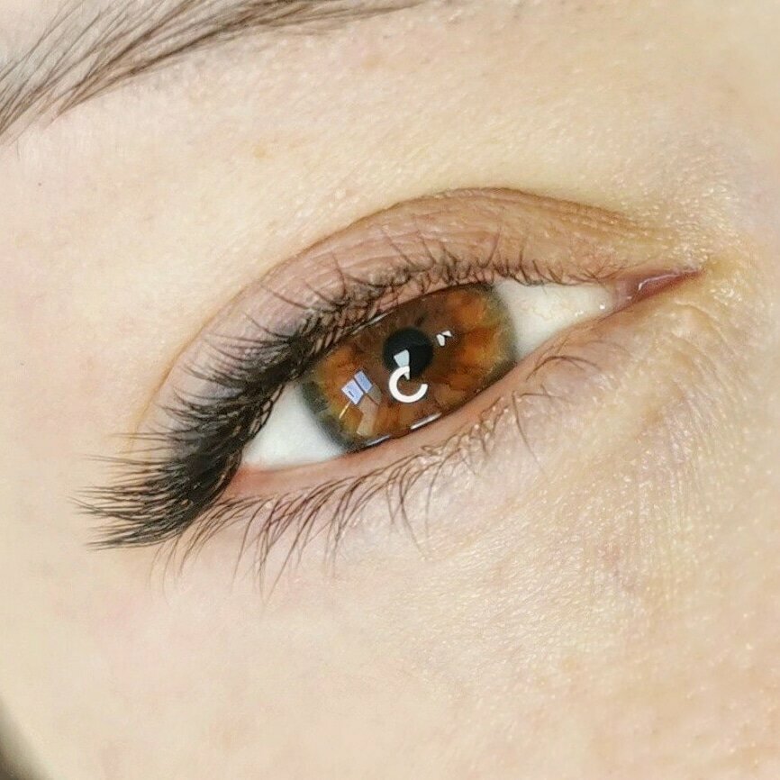 Eyebrow and eyelash salon Lash Studio, Zelenograd, photo