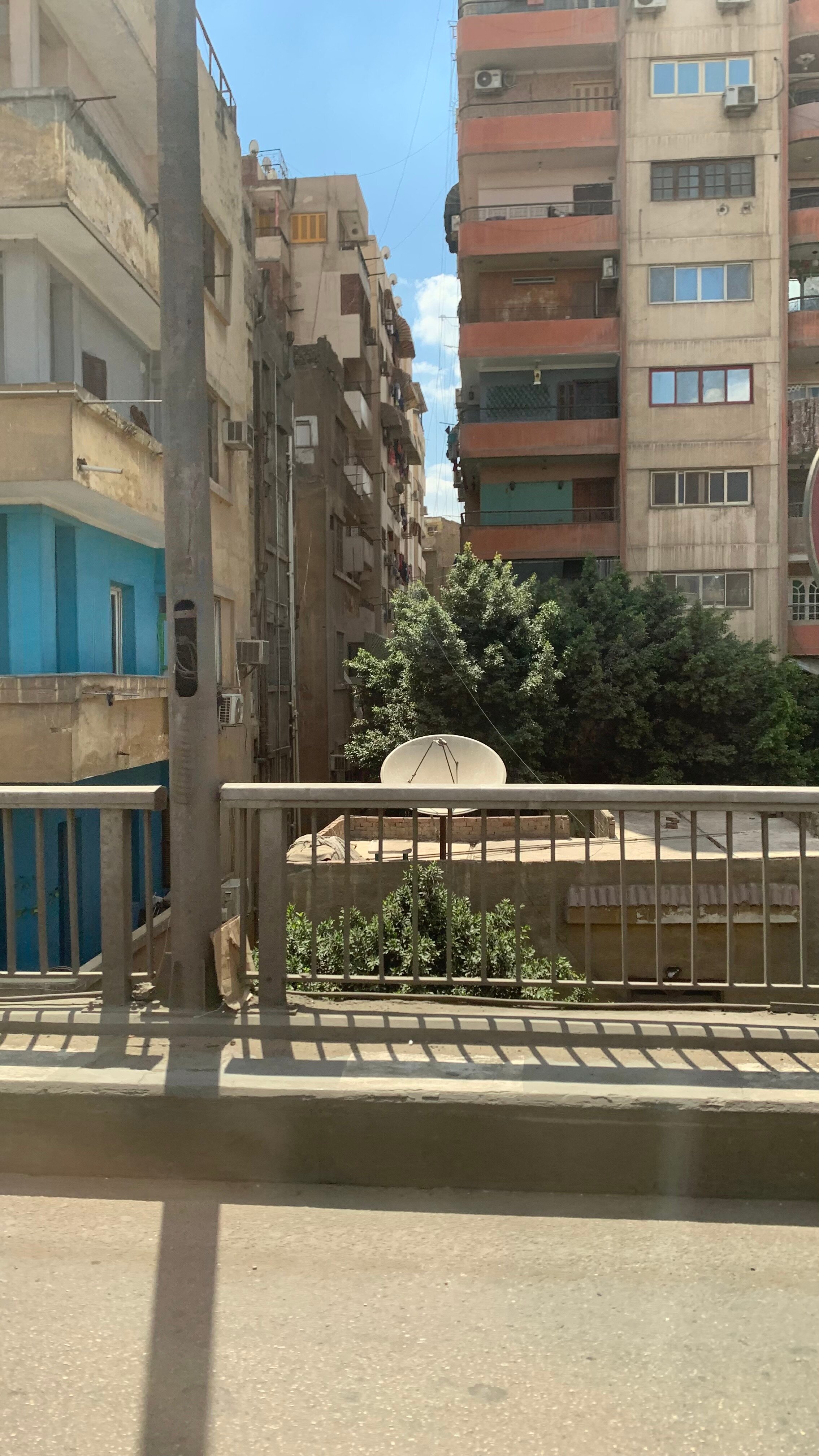 Фото The G Seashell