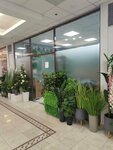 Flodek.ru (Vavilova Street, 66), artificial plants and flowers
