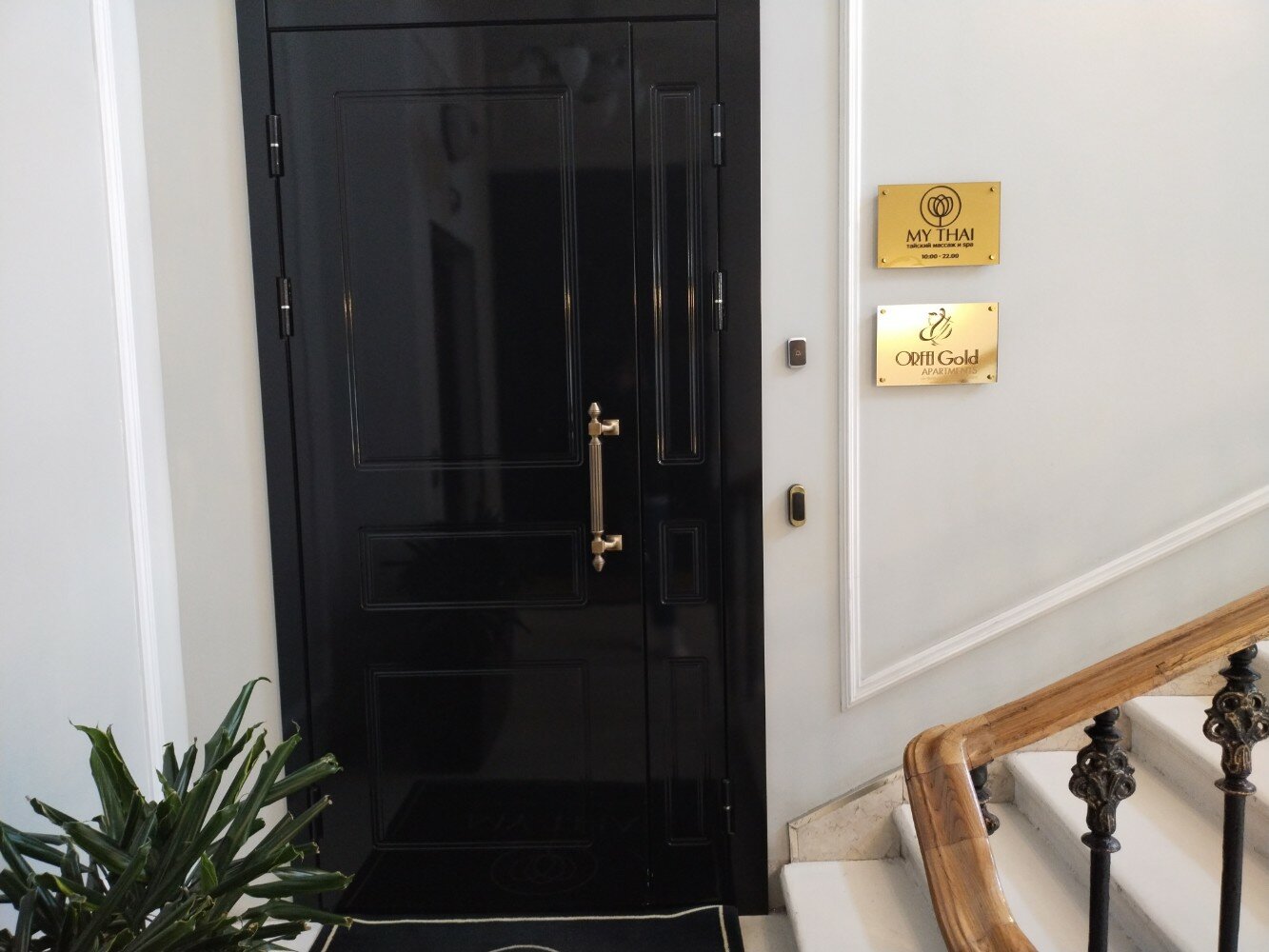 Фото Орфей Голд