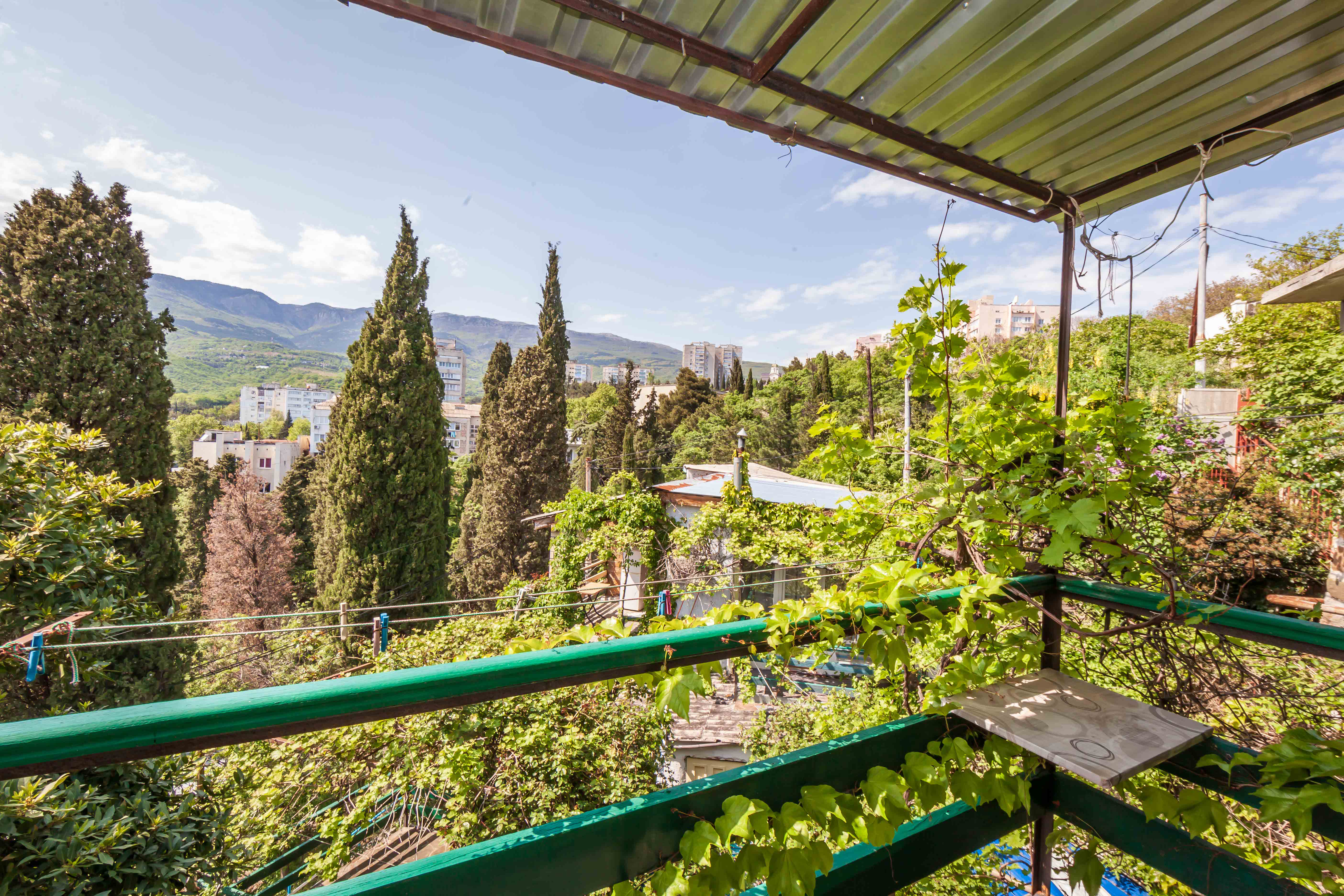 Фото Ласточка