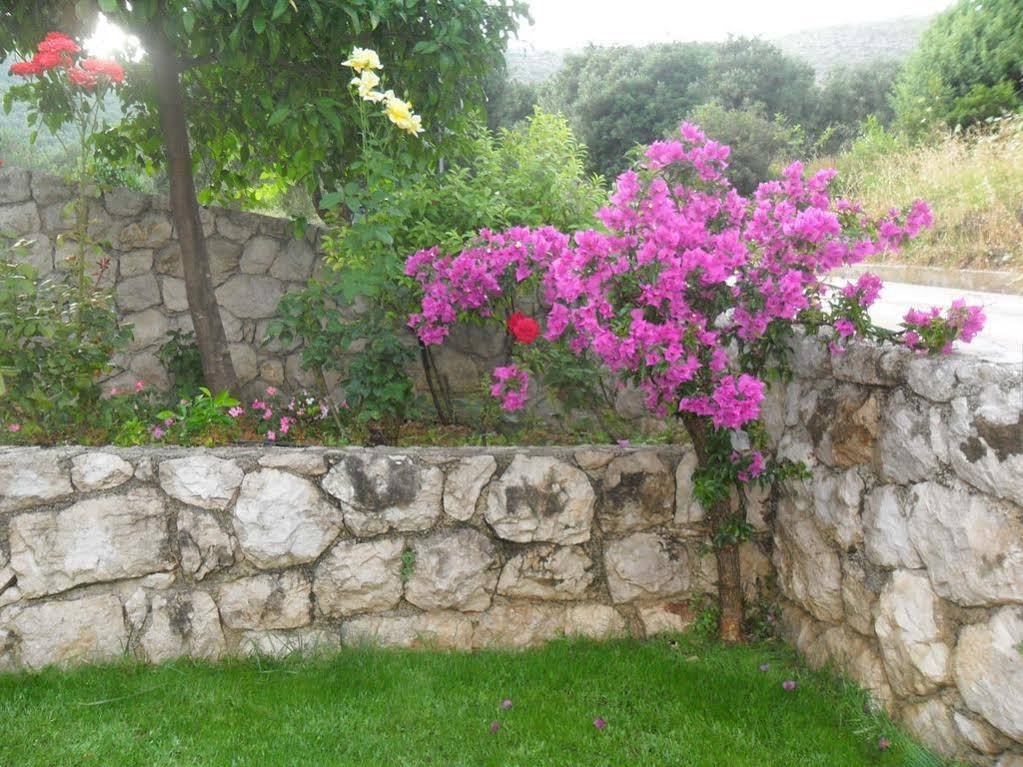 Фото Apartments Njiric