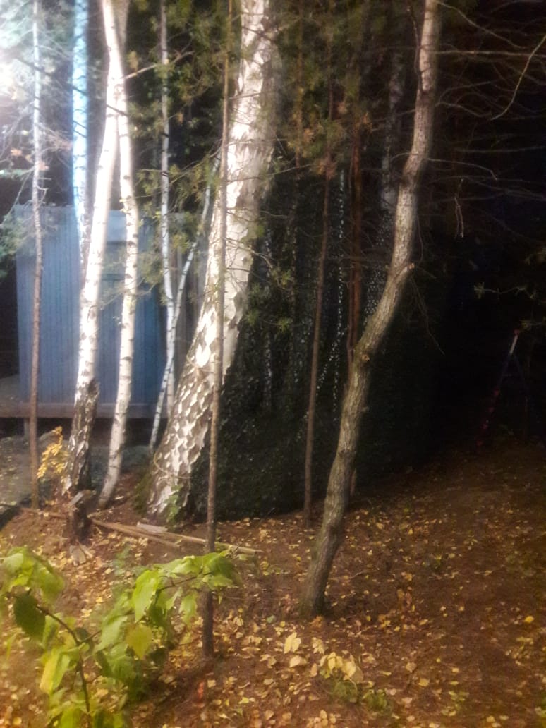 Фото Изумрудная поляна дачи