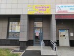 Оранжевая Зебра (Anatoliya Mekhrentseva Street, 42), organization of children events
