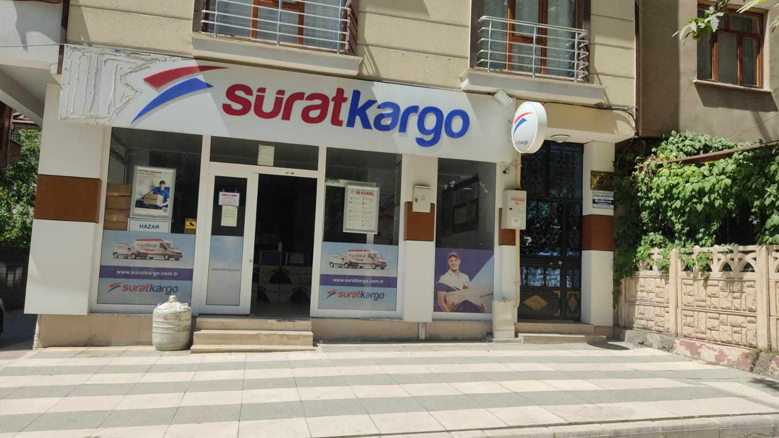 Paypoq va it uslubidagi porno fotosuratlar