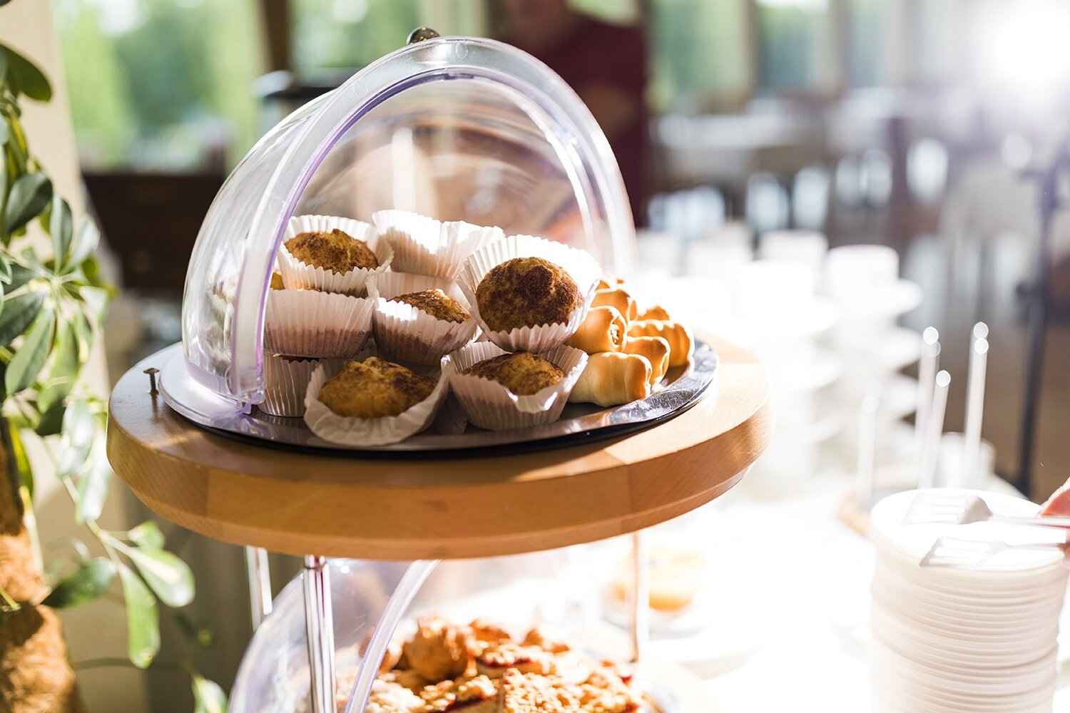 Фото Спа-отель Карелия