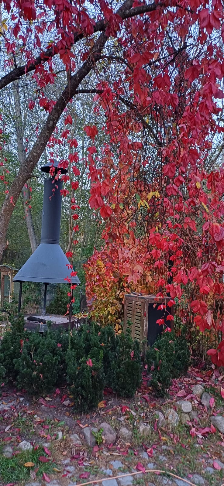 Фото Ловец Снов