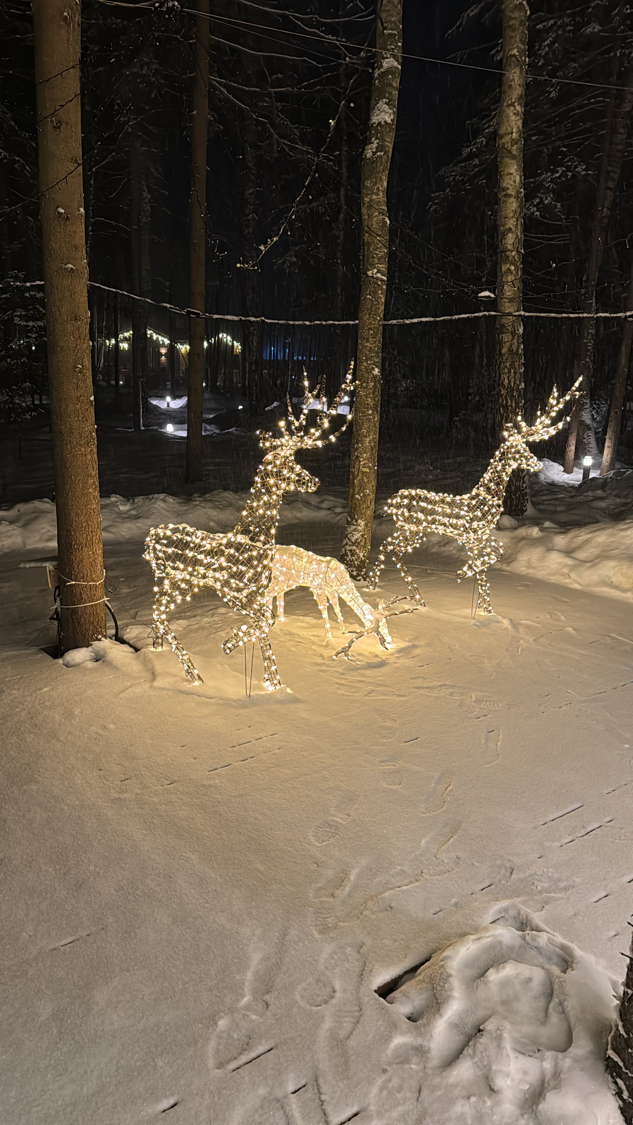 Фото Плавное течение