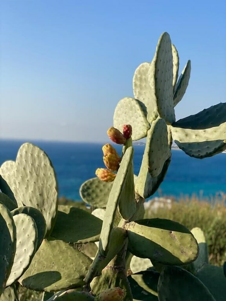 Фото Azure Blue Studios