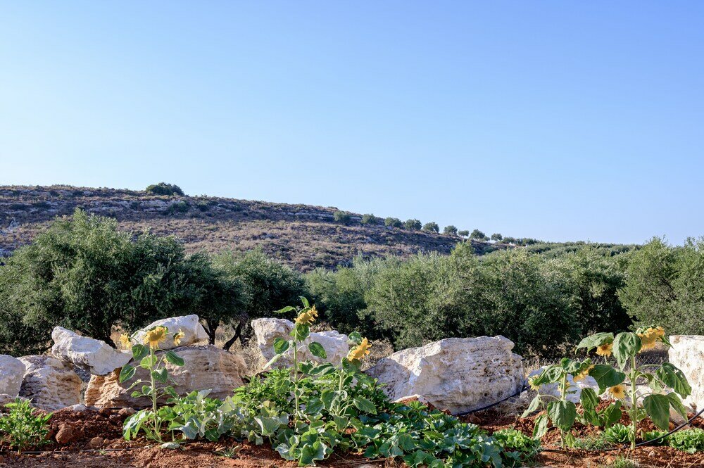 Фото Alagni Cretan Resort