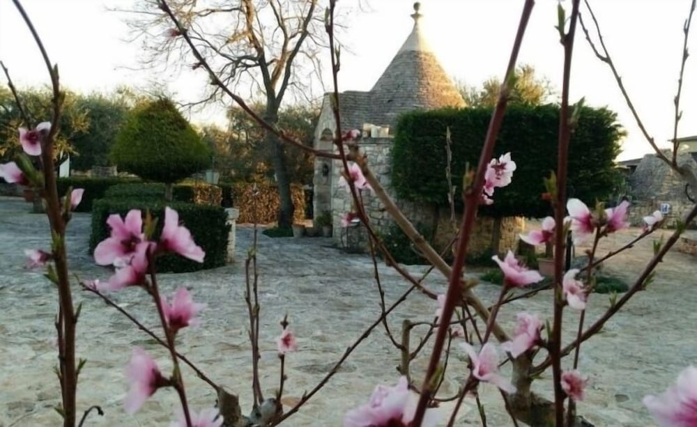 Фото Agriturismo Regno di Marzagaglia