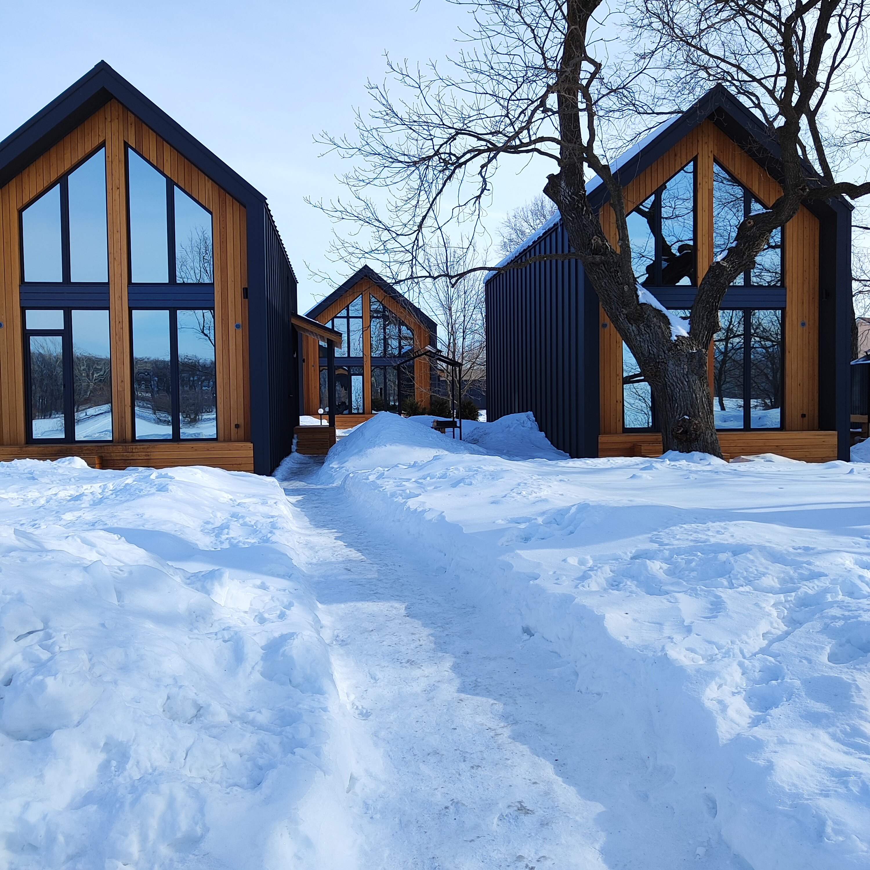 Фото Природа