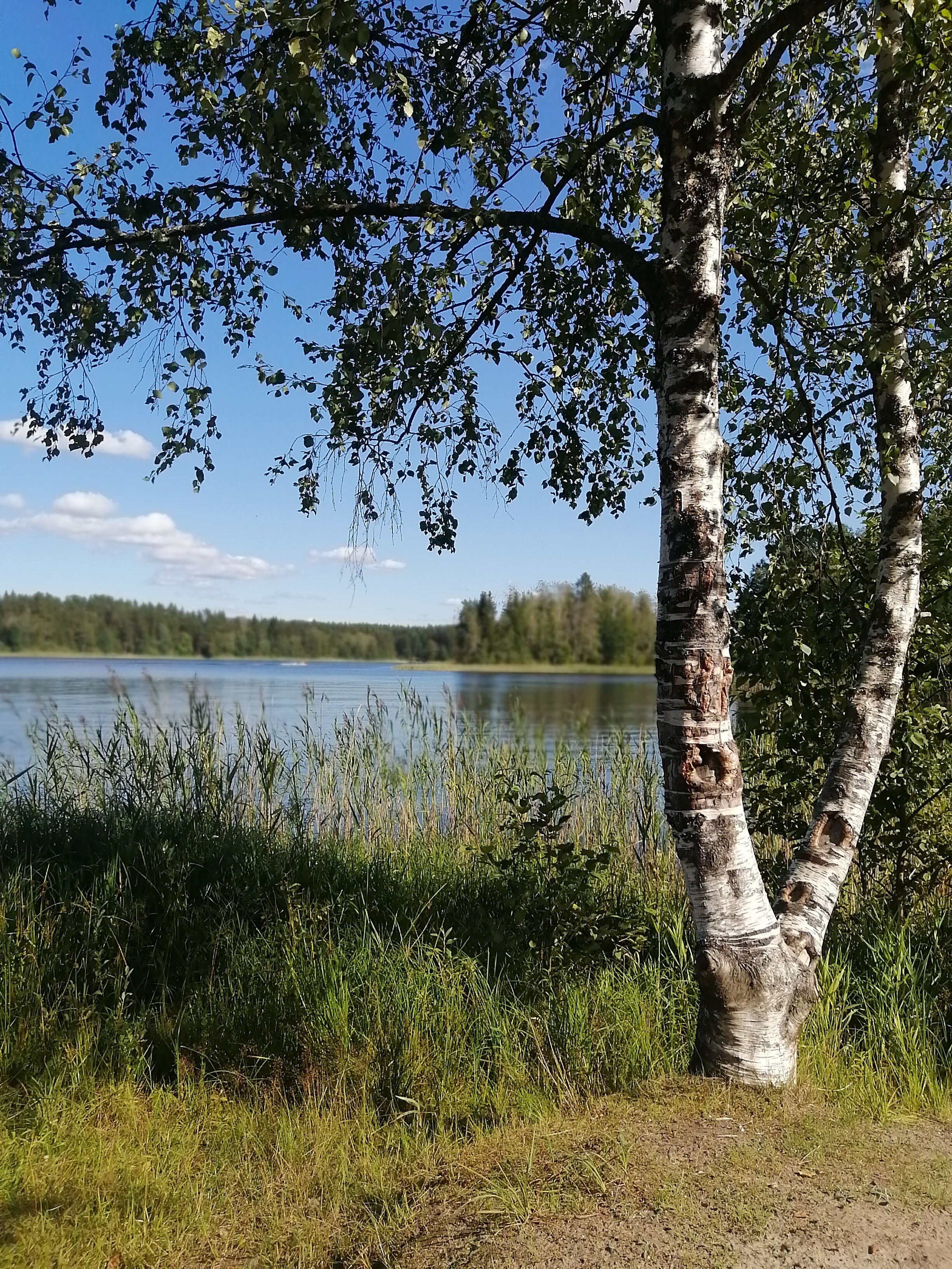 Фото Дом Фьорд Неприе Селигер