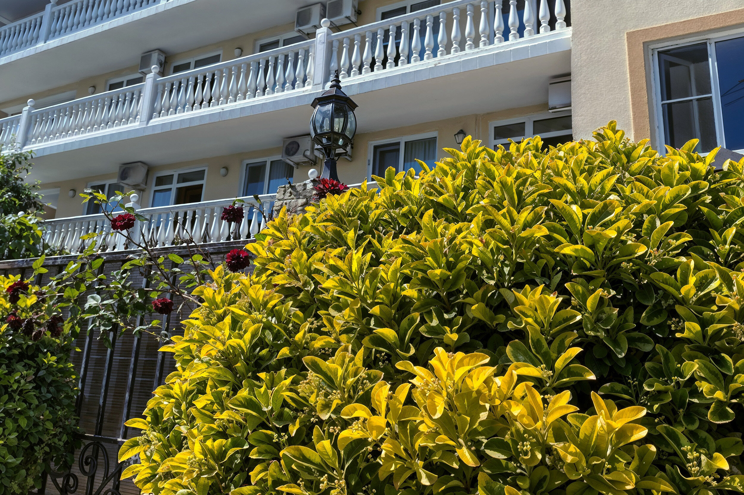 Фото отеля 3