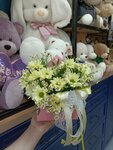 Dbns flowers (Orekhovo-Zuyevo, Proletarskaya Street, 11А), flowers and bouquets delivery