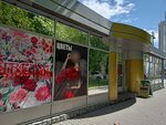 Цветы (Sverdlova Street, 11Б) ، محل زهور
