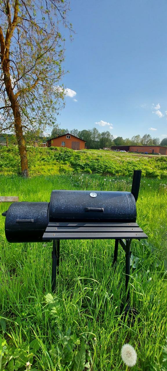 Фото Ёлки-Палки