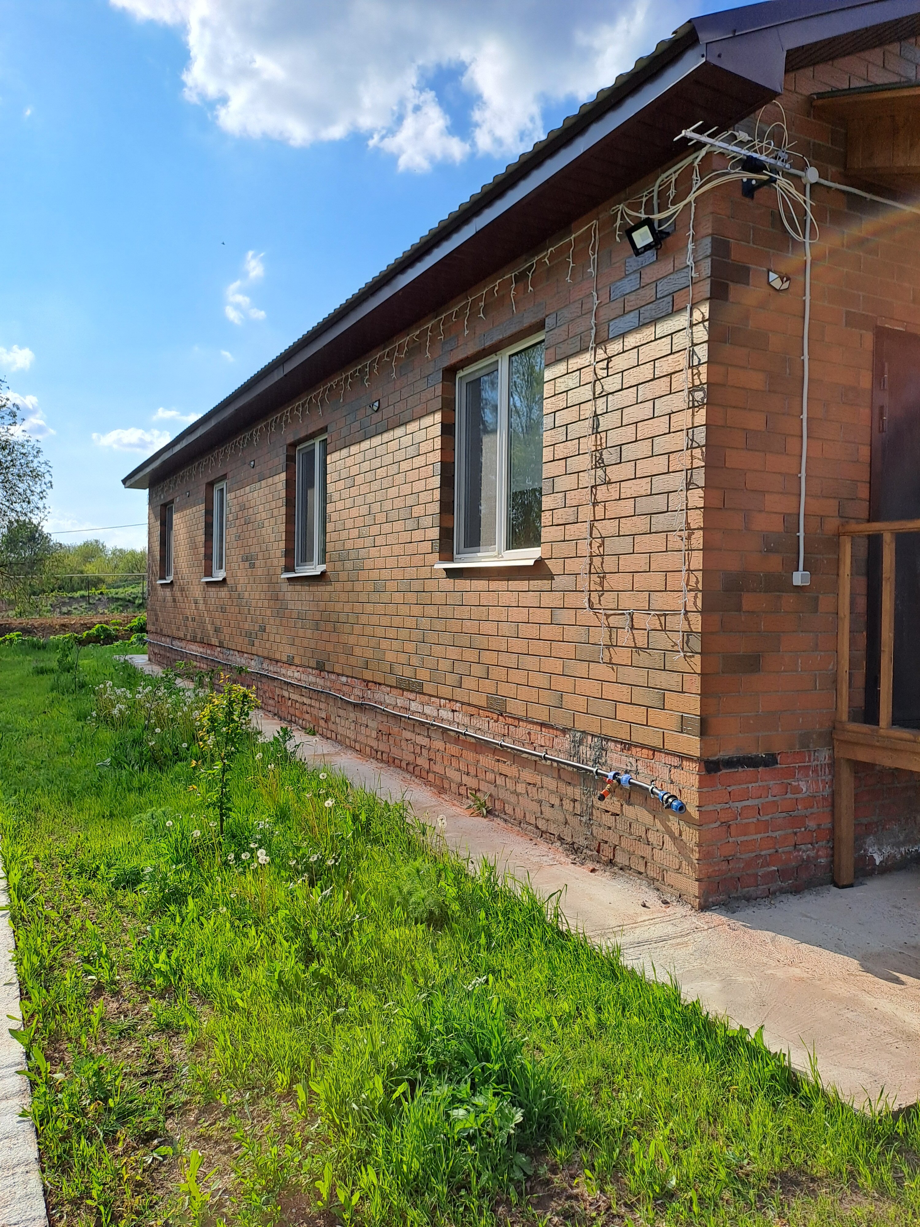 Фото Ёлки-Палки