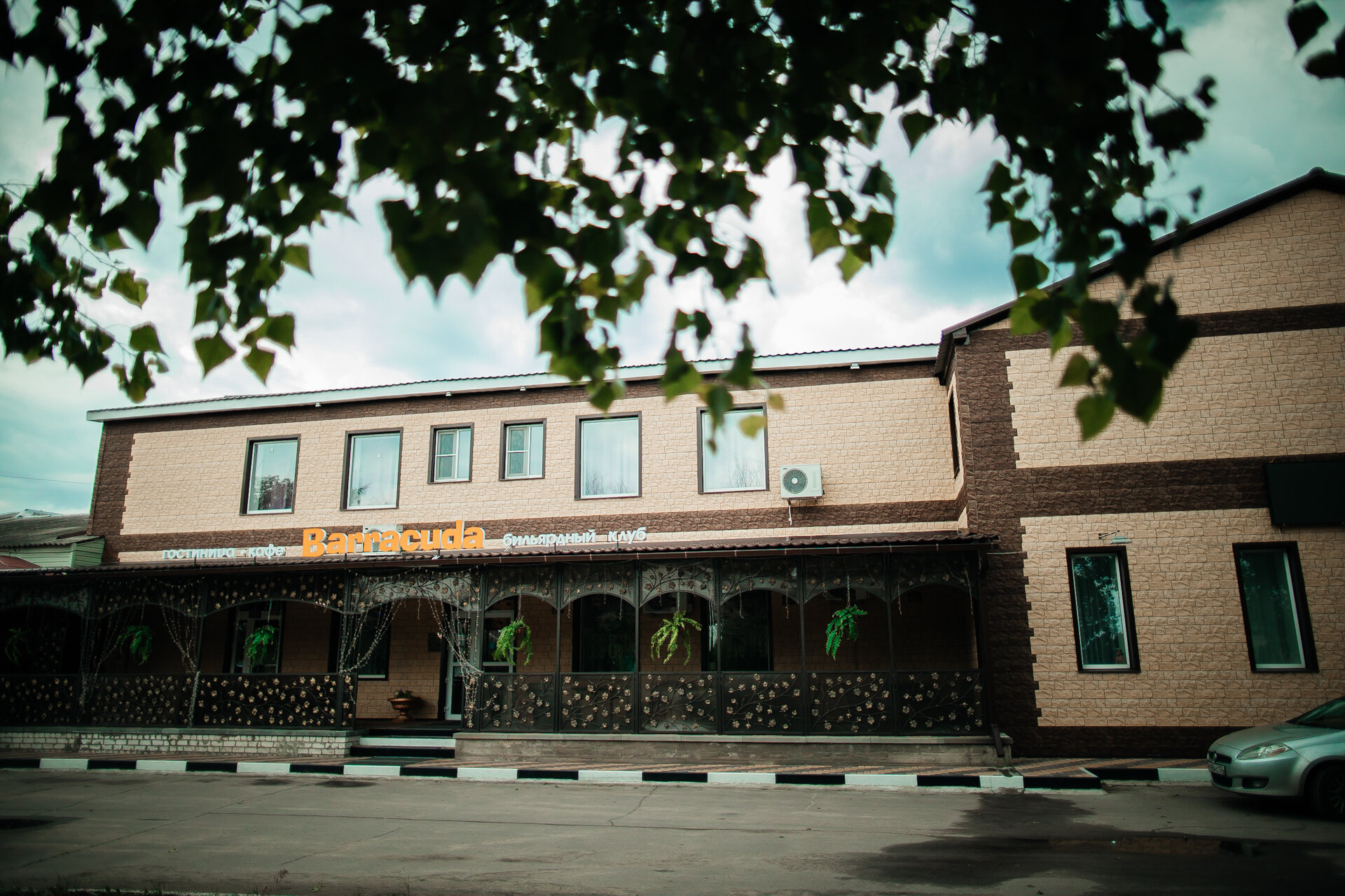 Фото Барракуда