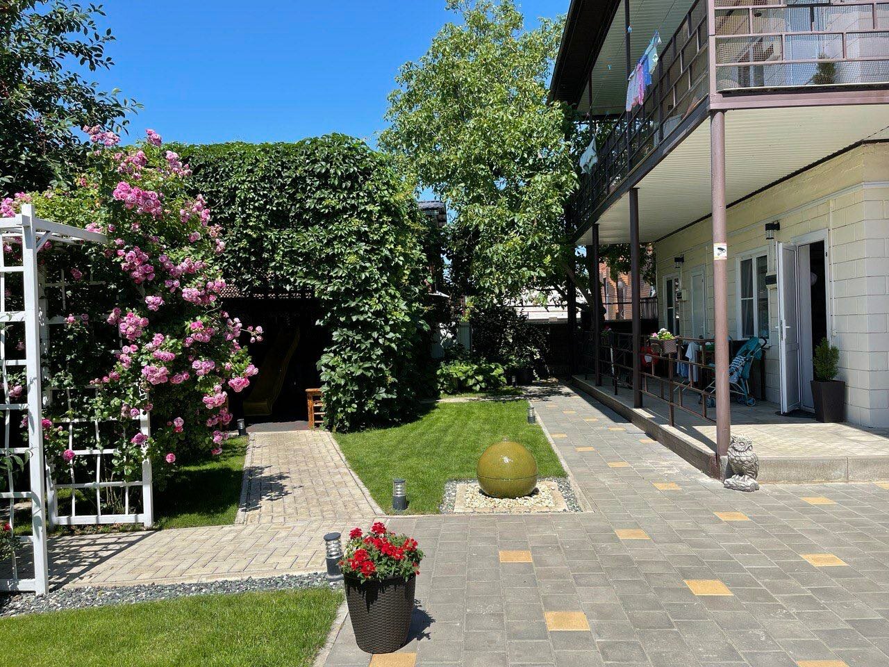 Фото Совёнок