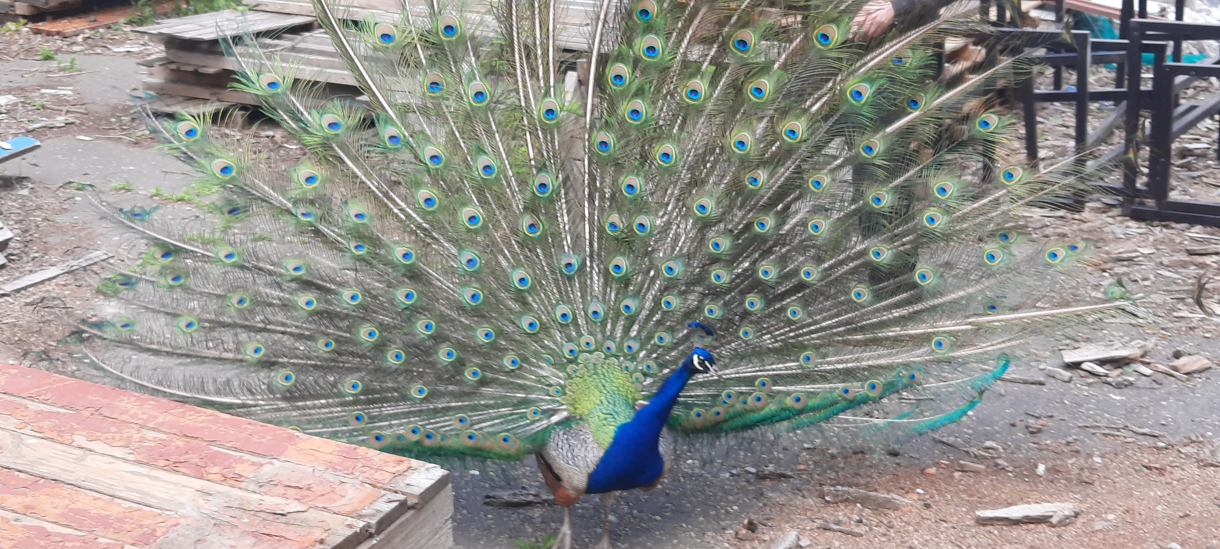 Фото Карасёвка