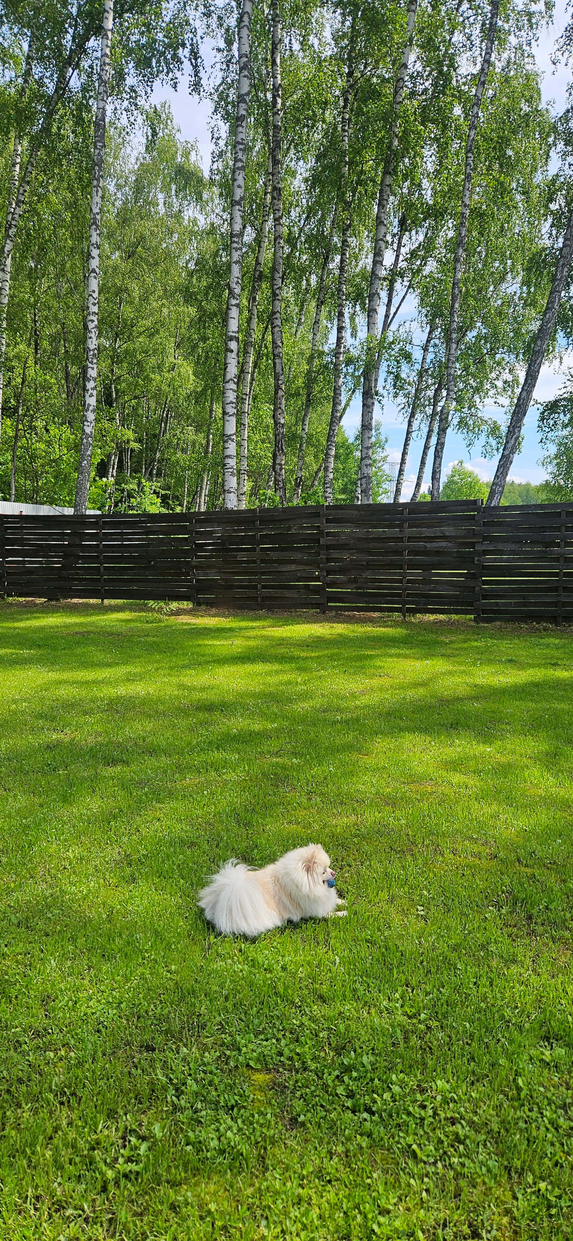 Фото Bereza Country